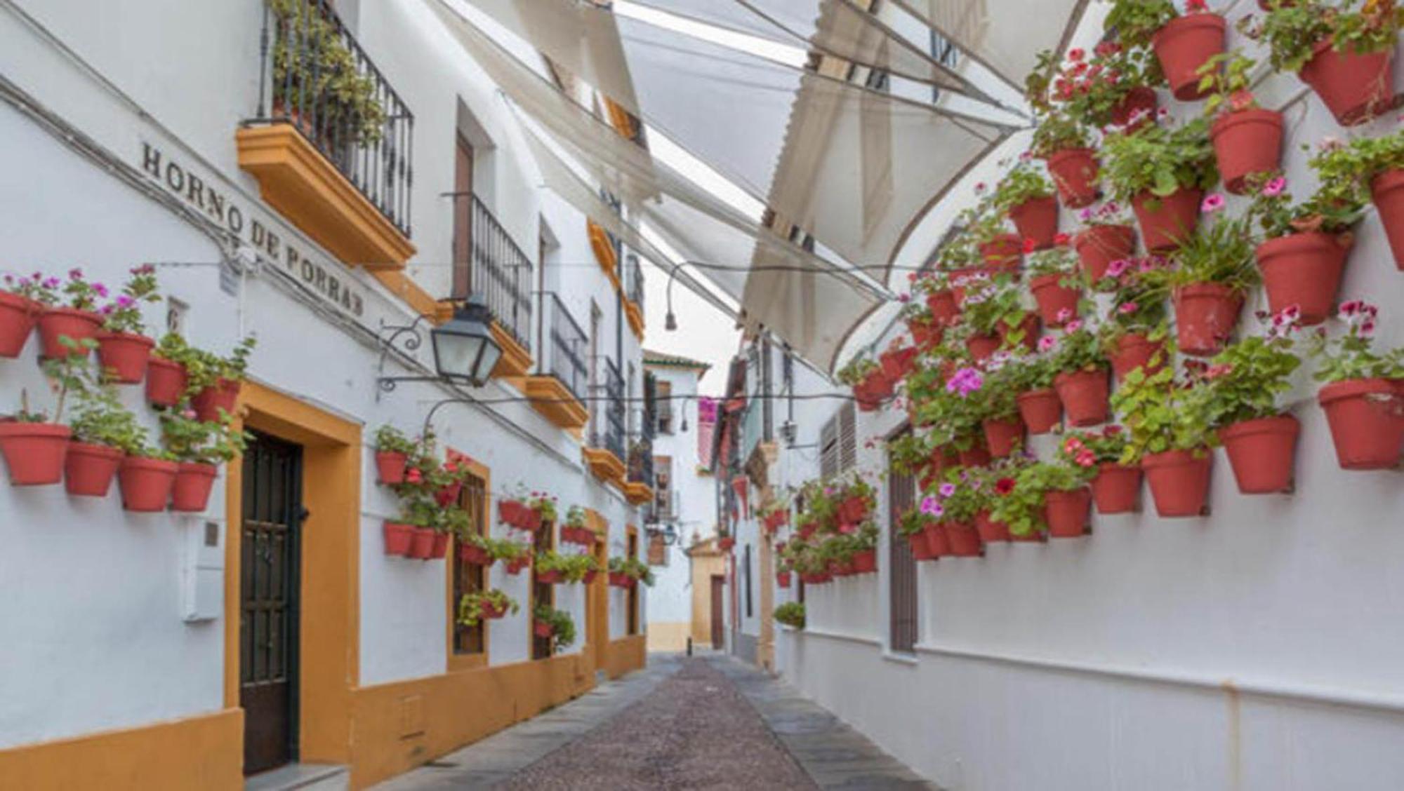 Zahra - Terraza Centro Cordoba Leilighet Eksteriør bilde